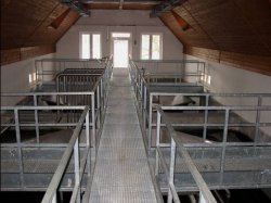 WWTP 3 000 PE